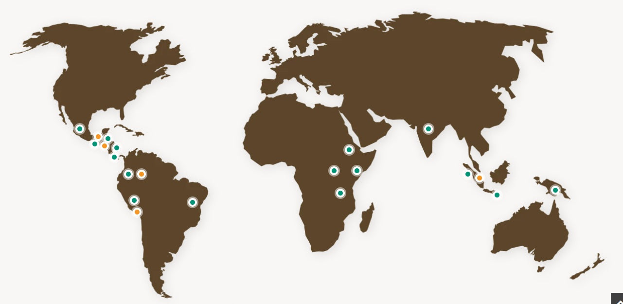 Global Tour Brew - This Month's Featured Espresso